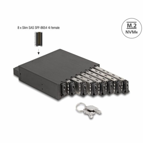 Delock&nbsp;5.25”&nbsp;Mobilní&nbsp;rack&nbsp;pro&nbsp;8&nbsp;x&nbsp;SSD&nbsp;M.2&nbsp;NVMe&nbsp;s&nbsp;konektor...