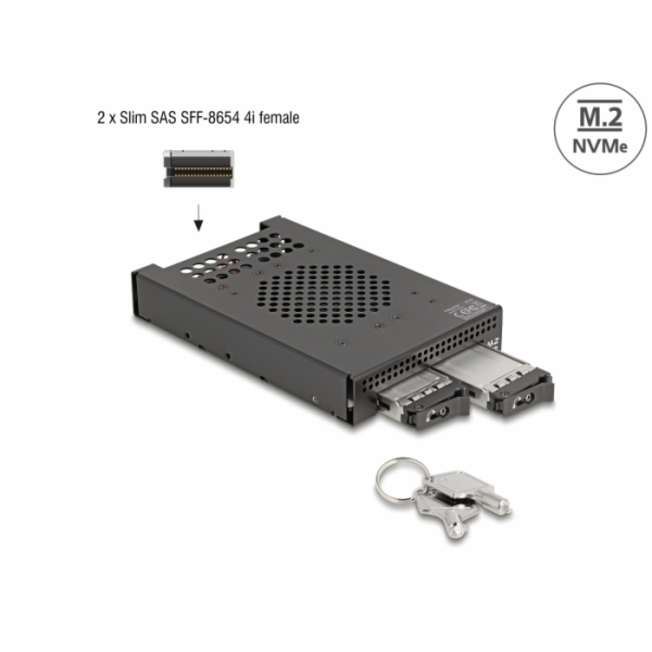 Delock 3.5” Mobilní rack pro 2 x SSD M.2 NVMe s konektore...