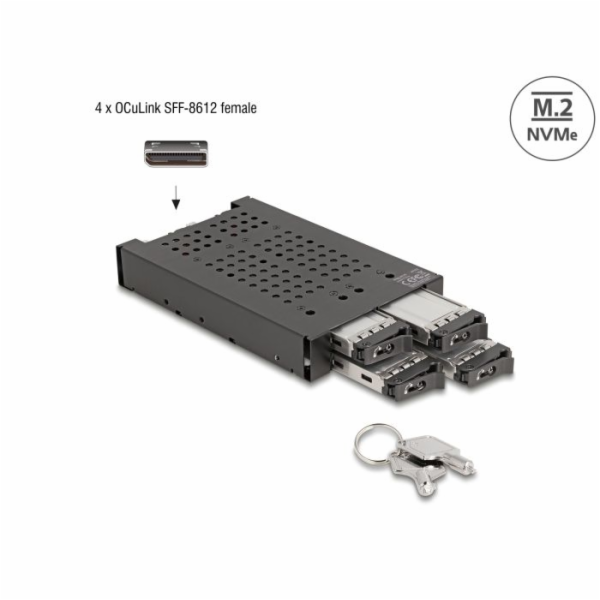 Delock 3.5” Mobilní rack pro 4 x SSD M.2 NVMe s konektore...