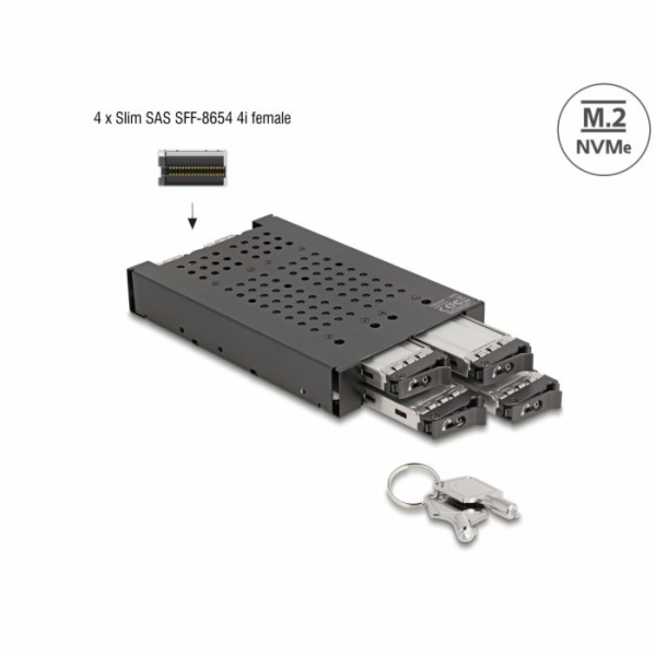 Delock 3.5” Mobilní rack pro 4 x SSD M.2 NVMe s konektore...