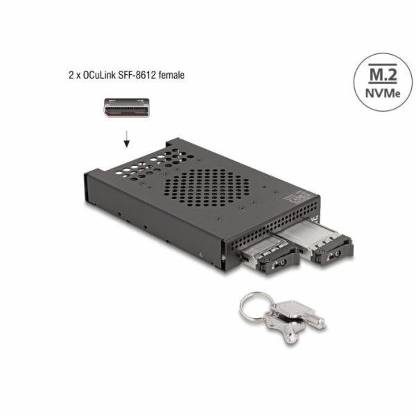 Delock&nbsp;3.5”&nbsp;Mobilní&nbsp;rack&nbsp;pro&nbsp;2&nbsp;x&nbsp;SSD&nbsp;M.2&nbsp;NVMe&nbsp;s&nbsp;konektore...