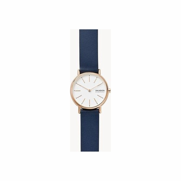 Skagen Dámské hodinky Signatur SKW2838 + BOX