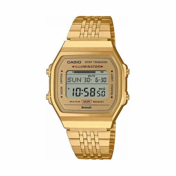 Casio Hodinky Casio ABL-100WEG-9AEF