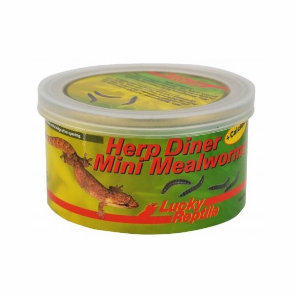 Lucky Reptile Herp Diner - mouční červi 35g Mouční červi ...