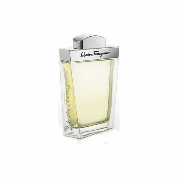 Salvatore Ferragamo Pour Homme EDT 100 ml