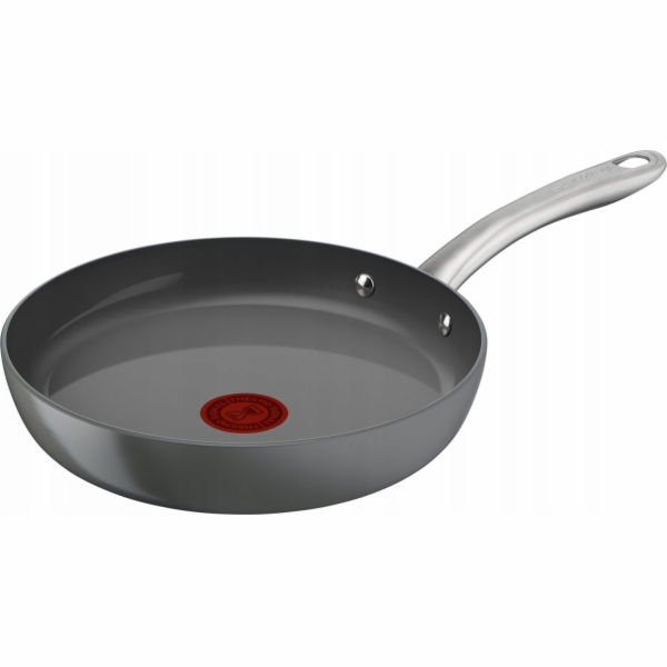 Tava TEFAL Renew+ C4240443, 24 cm