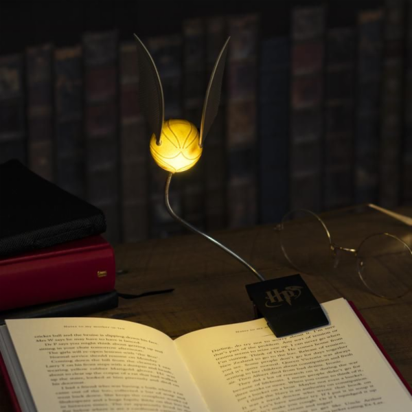 Harry Potter LED noční světlo s Harrym Potterem