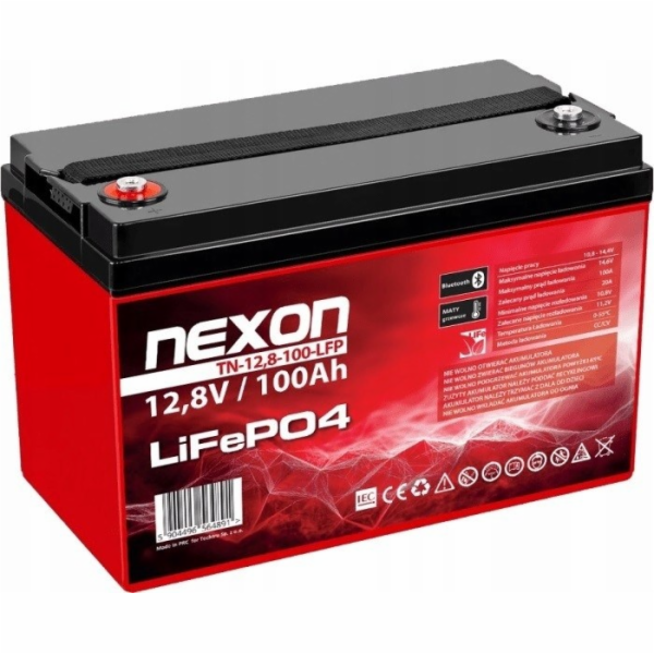 LIFEPO4 100AH 12.8V LIFEPO4 100AH 12.8V BATTERY WI