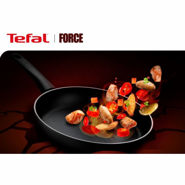 Tefal C2920253