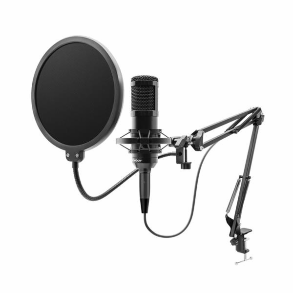 Mikrofon Niceboy VOICE Handle 