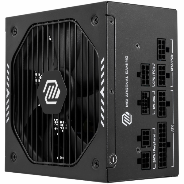 MSI MAG A750GLS PCIE5 (schwarz, 1x 12VHPWR, 4x PCIe, Kabe...