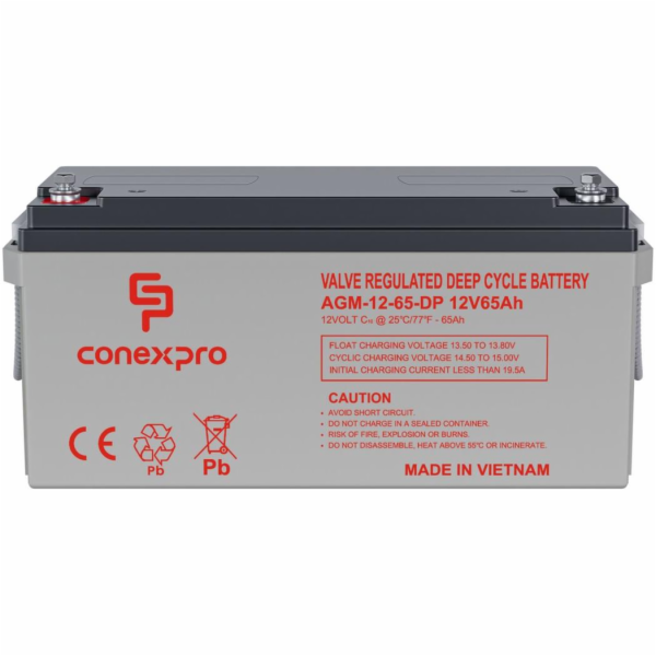Baterie Conexpro AGM-12-65-DP VRLA AGM 12V/65Ah, M6, Deep...
