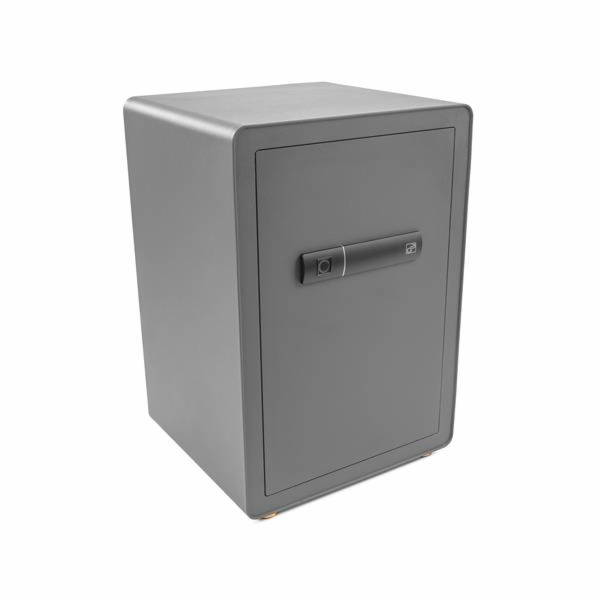 Trezor G21 na otisk prstu 420 x 600 x 380 mm