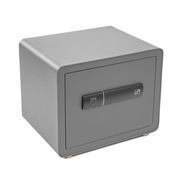 Trezor G21 na otisk prstu 380 x 310 x 300 mm