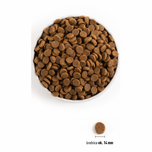 ACANA Senior - suché krmivo pro psy - 11,4kg