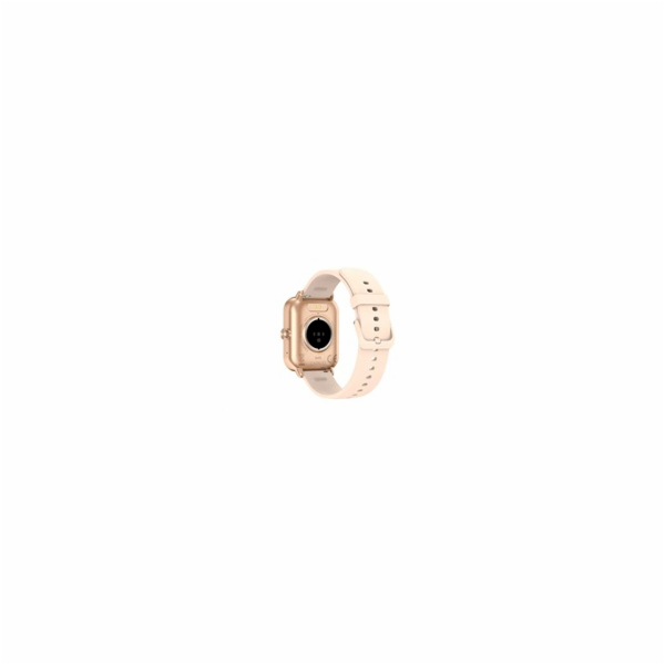CARNEO Versa HR+ rosegold