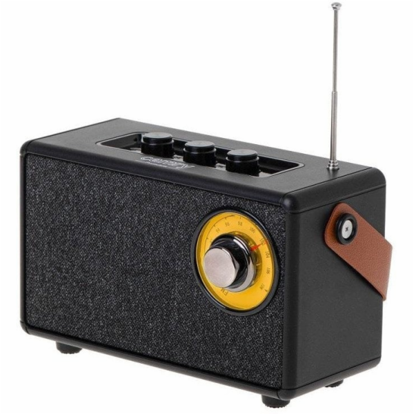 Camry CR1902 FM USB-C Bluetooth reproduktor černý
