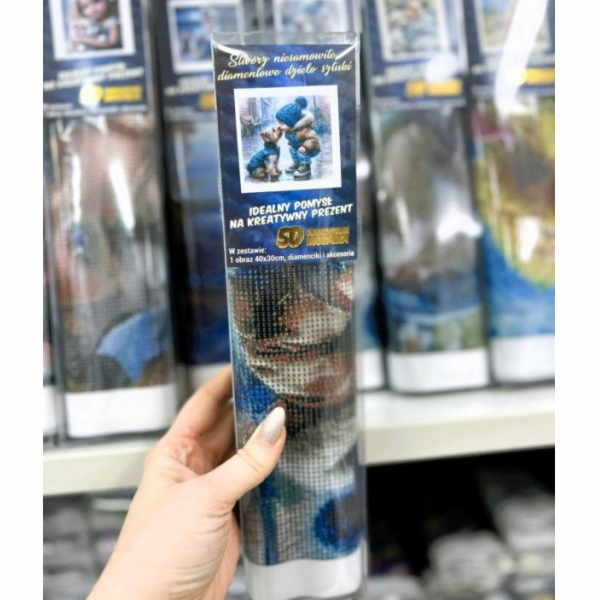 Norimpex Diamantová mozaika - Kluk a pes yorkshirského te...