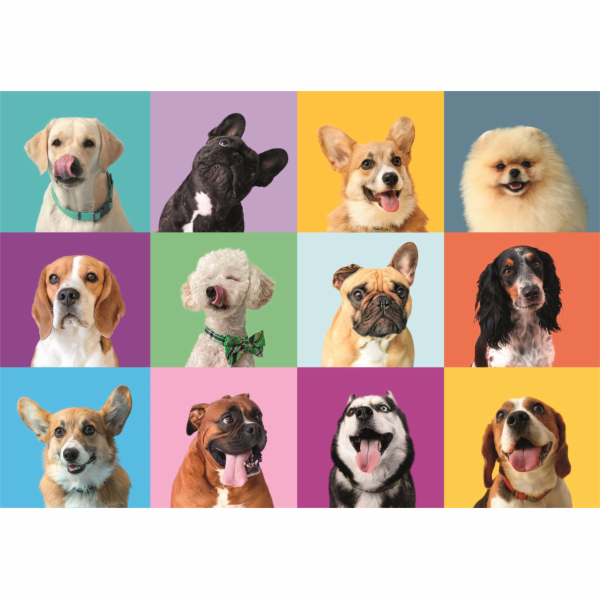 Clementoni - Puzzle 300 Legrační obličeje