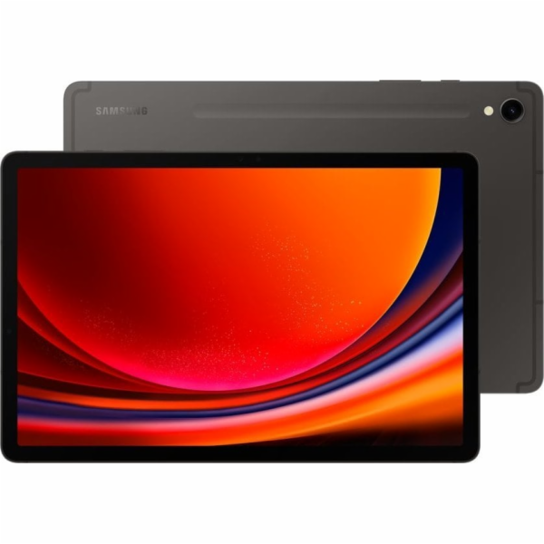 Samsung Galaxy Tab S9 5G SM-X716BZAEEUE Samsung Galaxy Ta...