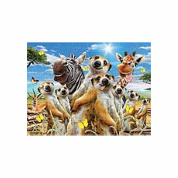 PRIME 3D PUZZLE - Selfie surikaty 48 dílků