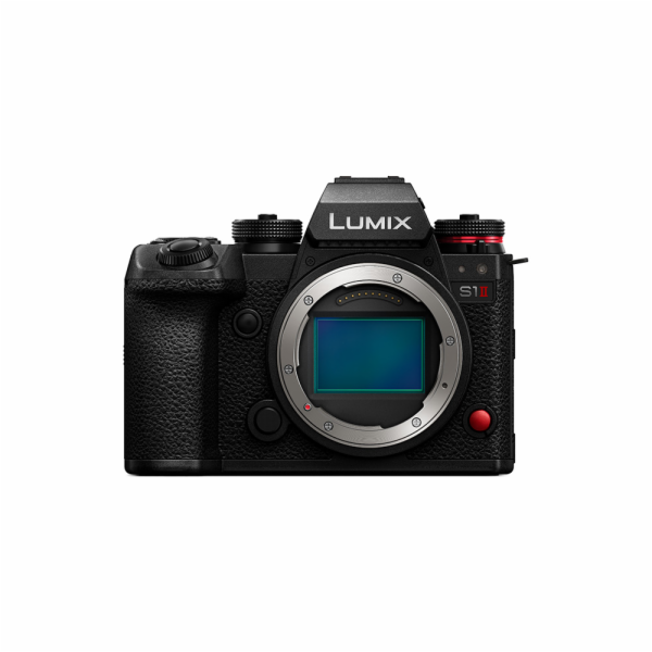 Panasonic LUMIX S1 M2 body
