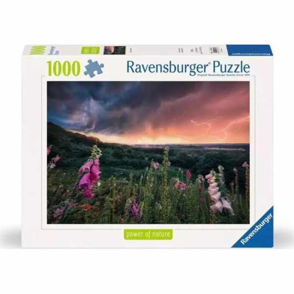 Ravensburger Polska Puzzle 1000 dílků Bouře se blíží