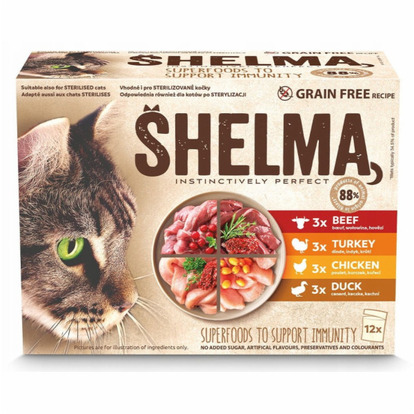 SHELMA with turkey, duck, chicken and beef in sauce - mok...