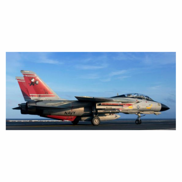 Revell Plastikový model F-14D Super Tomcat