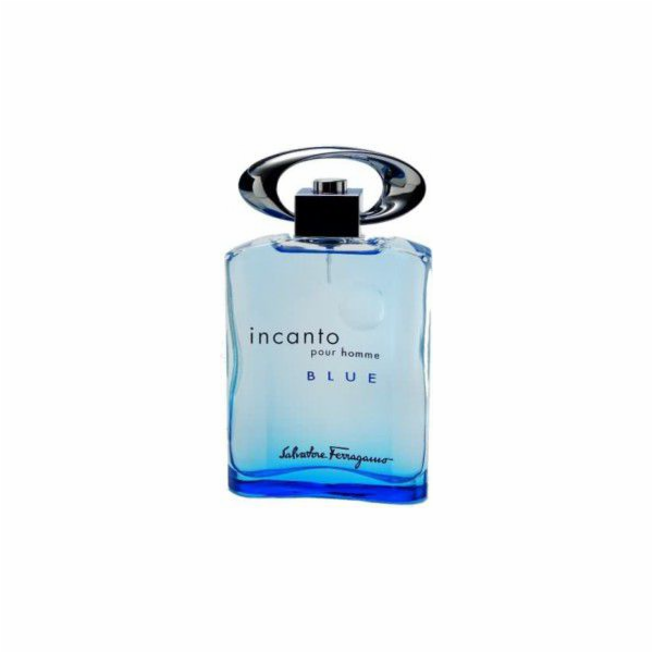 Salvatore Ferragamo Incanto Pour Homme Blue EDT 100 ml