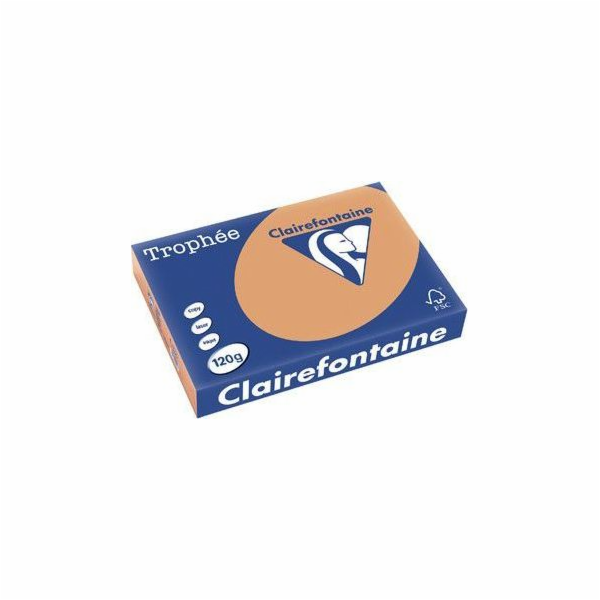 Trophee kopírovací papír A4 80g 500 listů