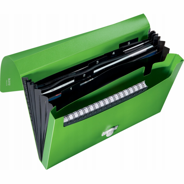 Leitz Složka s 5 přepážkami na odpad A4, PP, zelená