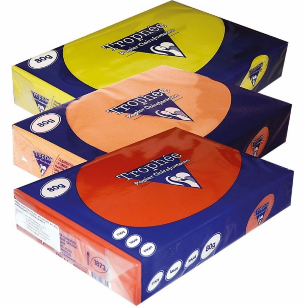 Trophee Papír Trophee A4/80g ocelově šedý (500 ks)