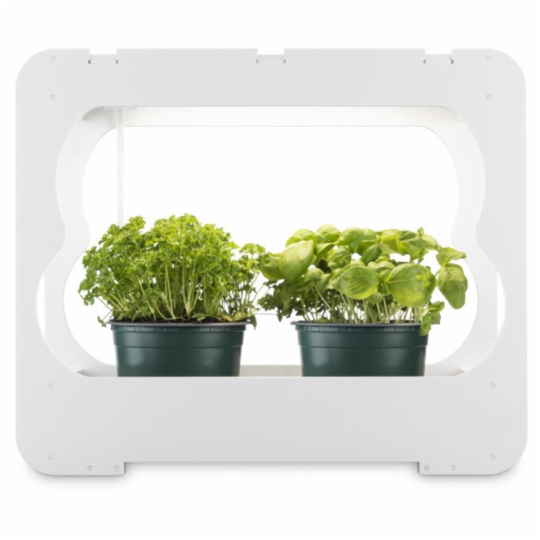 XAVAX Pestovacia stanica s LED svetlom