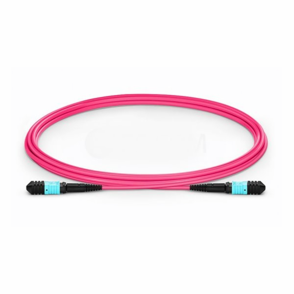 XtendLan FO patch MPO(f)-MPO(f), 2m, OM4, 12/12, kabel ku...