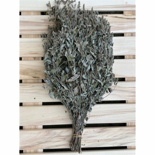 FLAMMIFERA šindel v průběhu roku