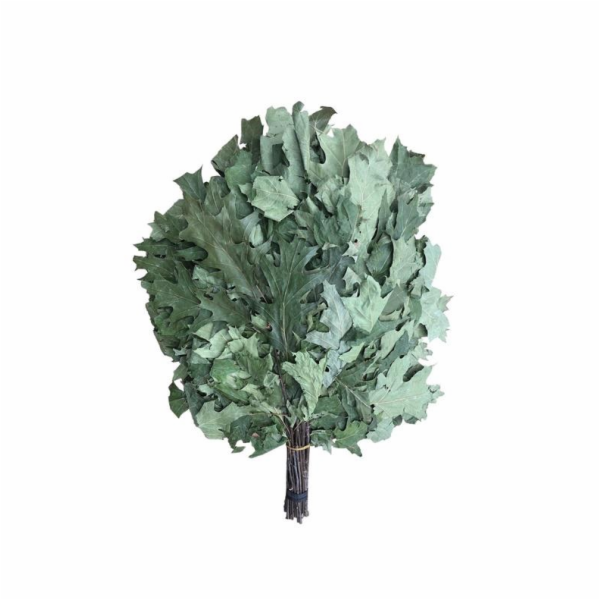 Dubový šindel FLAMMIFERA