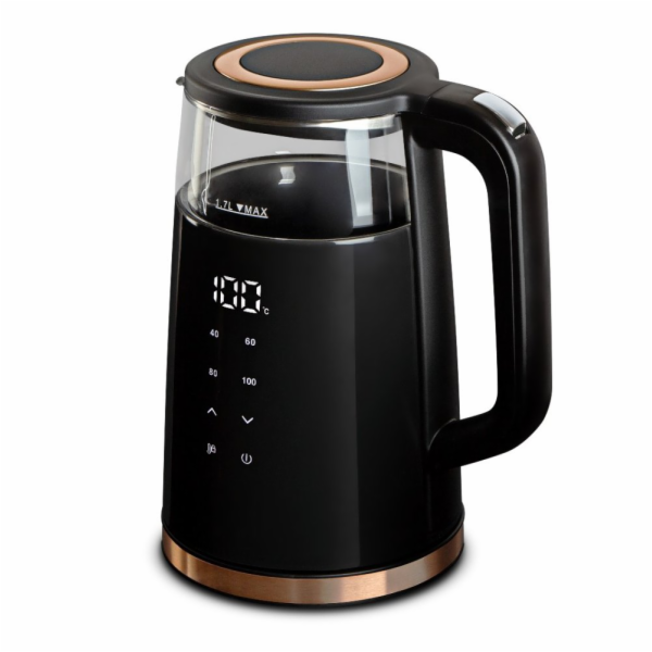 Rychlovarná konvice s regulací teploty digitální 1,7 l Bl...