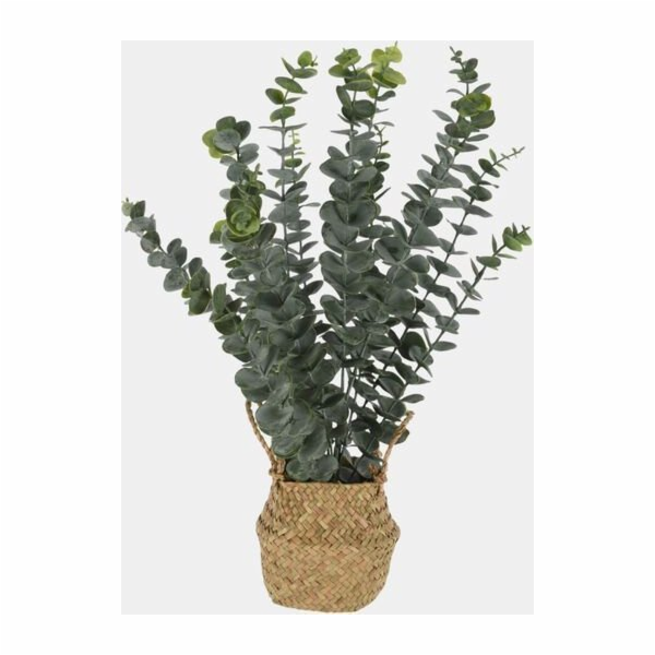 Umělý eukalyptus v košíku, 50 cm
