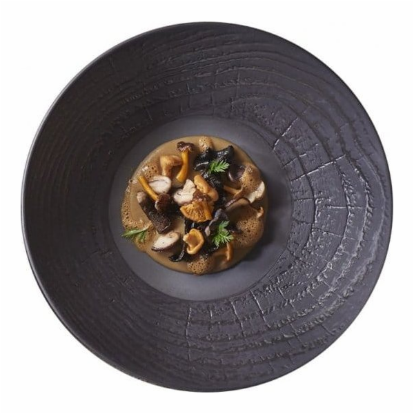 Revol Hluboký talíř 24cm ARBORESCENCE černý