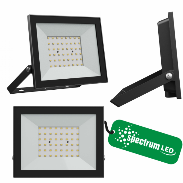 Wojnarowscy Reflektor NOCTIS LUX 4 50W CW 230V IP65 176x1...