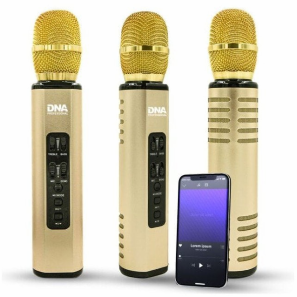 Remax Bluetooth reproduktor s karaoke mikrofonem DNA KM6
