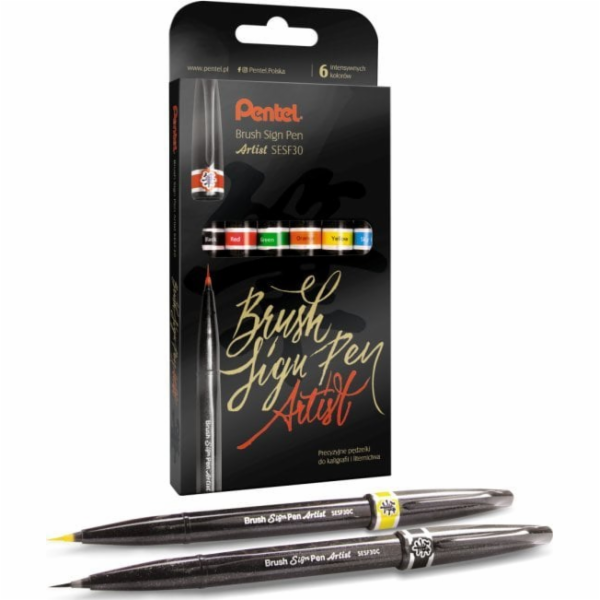 Pentel Štětcové pero SESF30C-ST6ABDFGS-PL