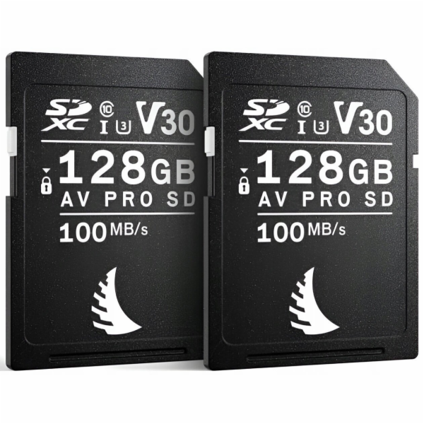 PNY Angelbird AV PRO SD 128GB V30 Canon