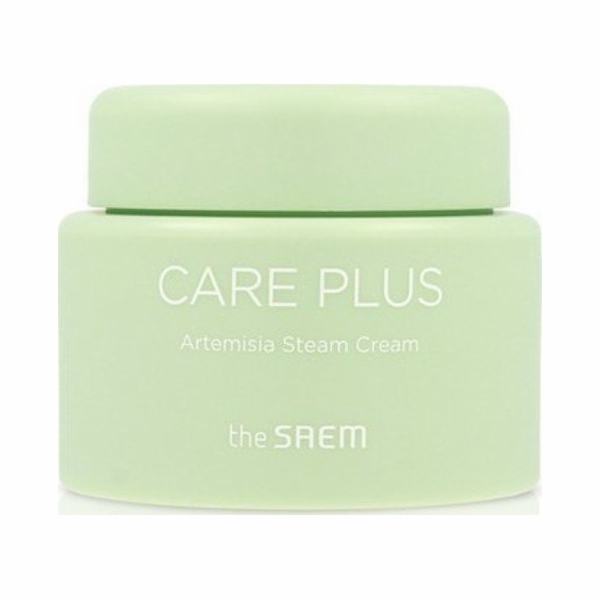theSaem Care Plus Artemisia parní krém na obličej 100ml