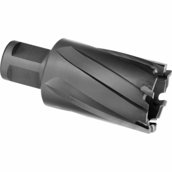 Glob Vrták do kovu z celokarbidového karbidu Weldon 50 mm...