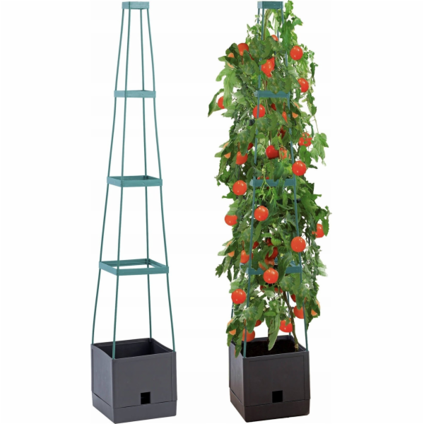 Maximex Květináč s podpěrami pro pěstování rajčat a popín...