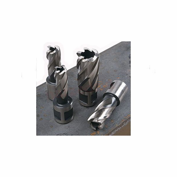 Glob Trepanační vrták GLOB TCT délka 50 mm - 31 x 50 mm (...