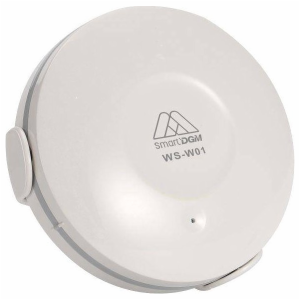 DGM&nbsp;DGM&nbsp;WS-W01
