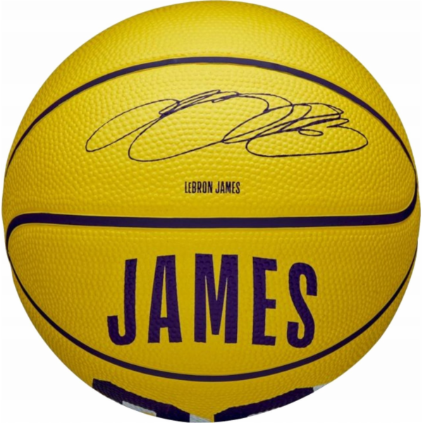 Wilson NBA Player Icon LeBron James Miniball WZ4027701XB ...